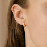 Oval Huggie Hoop Earrings