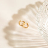 Oval Huggie Hoop Earrings