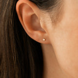 Tiny Clover Stud Earrings
