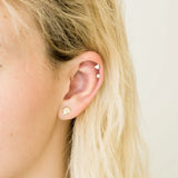Seashell Stud Earrings