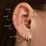 Cartilage Hoops Piercing Set