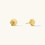 Seashell Stud Earrings